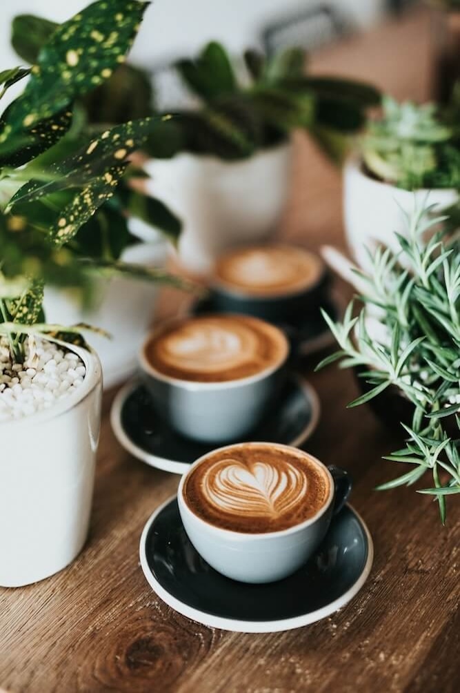 Cup with latte-art coffee and green houseplants.